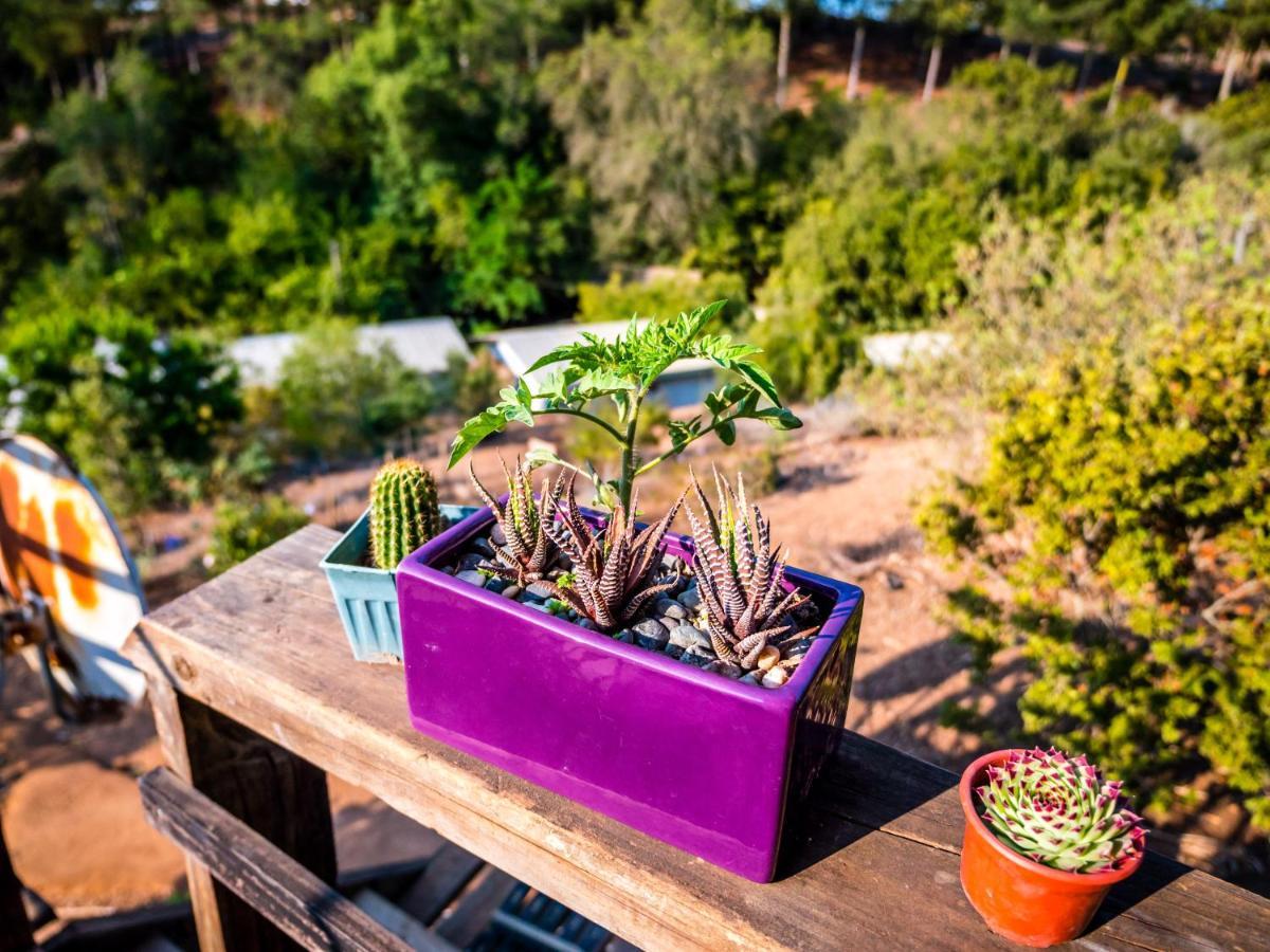 Converted Farm Loft カサブランカ エクステリア 写真