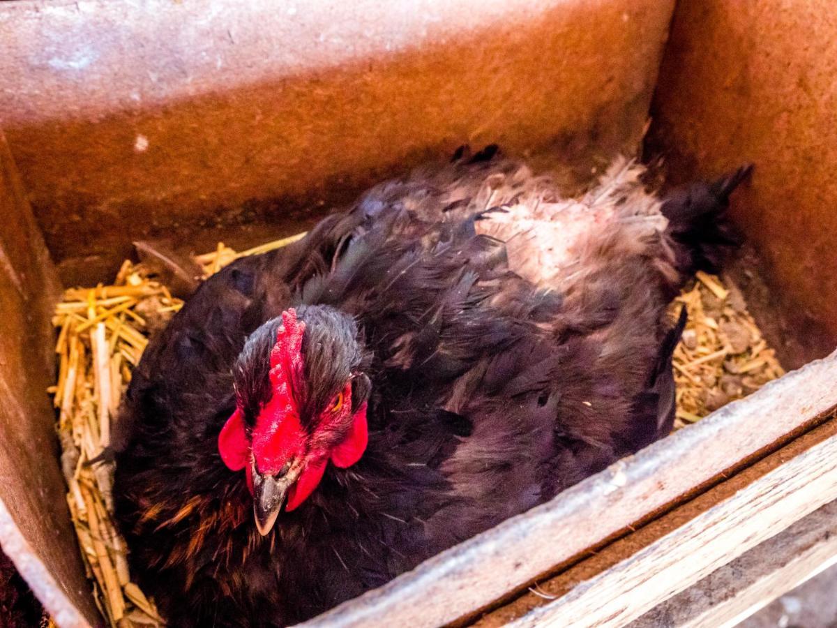 Converted Farm Loft カサブランカ エクステリア 写真