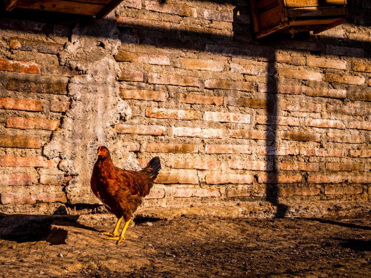 Converted Farm Loft カサブランカ エクステリア 写真